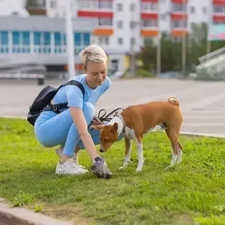 Пакеты для выгула, уборки за собакой толстые 1000шт + кейс, мініатюра 5